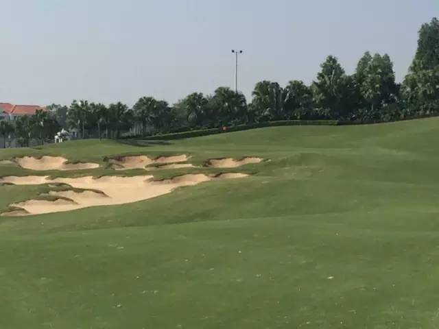 世界冠军专程助阵，为参赛球队提供总决赛球场最全攻略