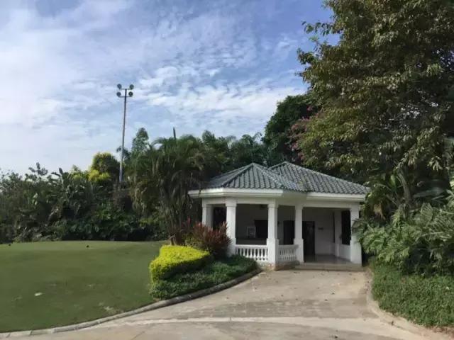 世界冠军专程助阵，为参赛球队提供总决赛球场最全攻略