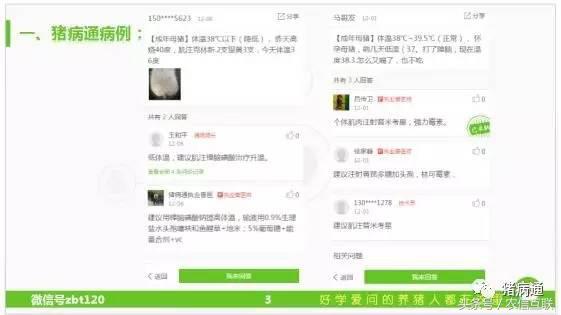 母猪产前低温不食是怎么回事,母猪低温不吃食最佳治疗方案