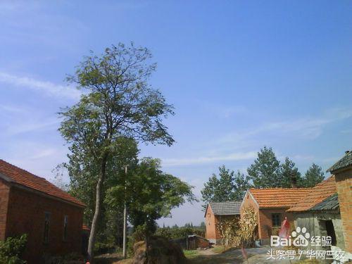 城里人到农村生活需要关注什么？农村信用社个人网上银行怎么开通