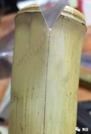 笛箫开裂怎么修,笛箫内壁长霉怎么清除