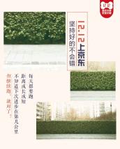 双十二海报文案大全,双十二预热海报文案