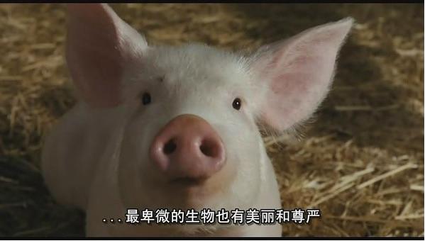 周星驰的十大经典台词视频,周星驰周润发经典台词片段