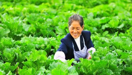 聚焦｜农村脱贫商机“路子”多，你的家乡脱贫了吗？