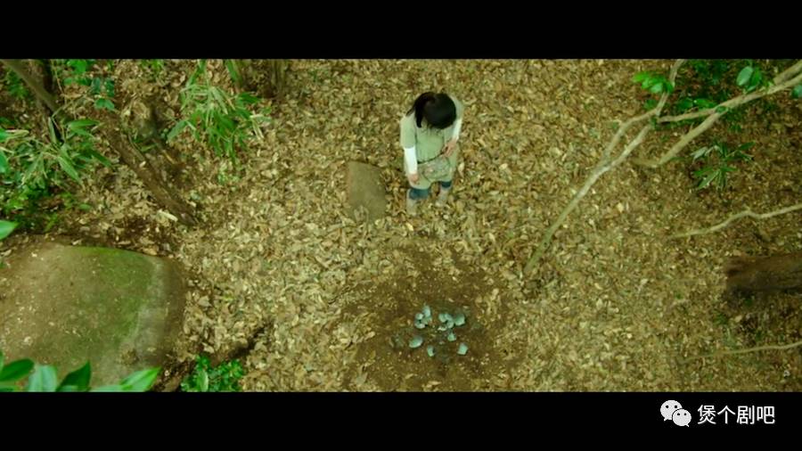 姜栋元电影截图,姜栋元最新电影叫什么