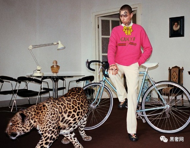 chanelgucci是什么牌子,chanelguccidior穿衣风格