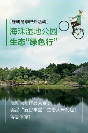 广州本周各类活动精彩荟萃