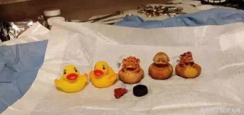 你莫名其妙找不到的东西，可能都在你家狗狗肚子里