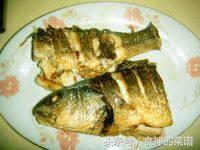 家常红烧鱼块的做法详细,家常红烧鱼块的做法和步骤视频