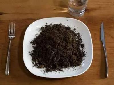 什么牌子的平价替代色好用 (大牌平价替代色美爆了)