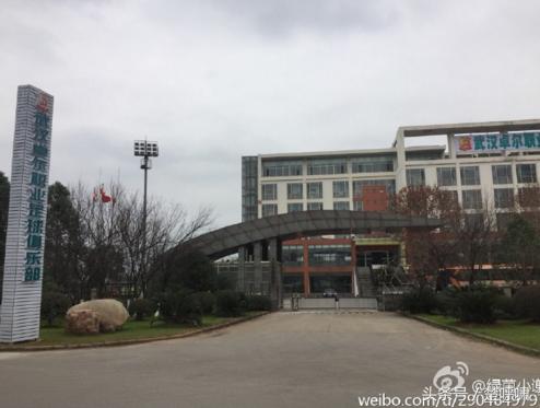 武汉生日祝福蛋糕,祝福武汉卓尔的视频