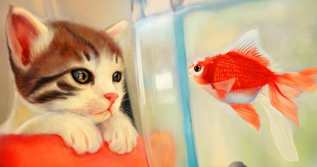 猫咪怀孕了小猫怎么处理,猫怀孕怎么照顾猫咪