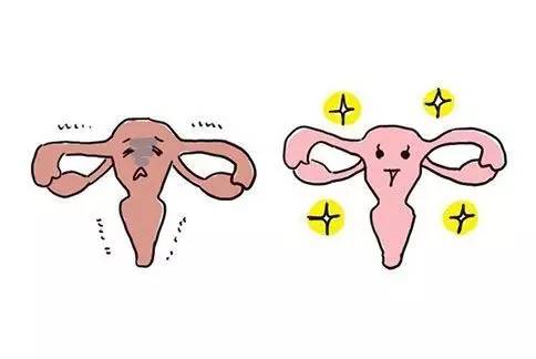 李小璐辣妈风采视频,李小璐逆生长5岁的秘诀