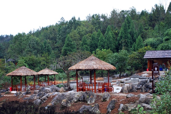 张家界自然公园一日游攻略,张家界禾田居山谷门票