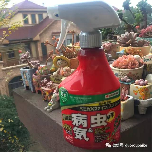 太实用了！图解多肉的配土及用药！