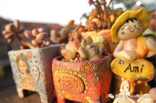 太实用了！图解多肉的配土及用药！