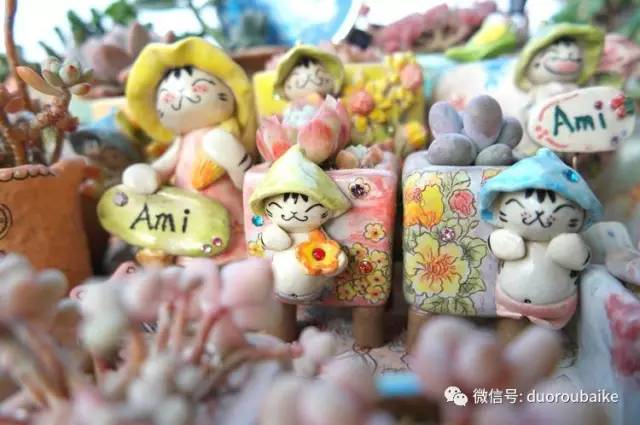 太实用了！图解多肉的配土及用药！