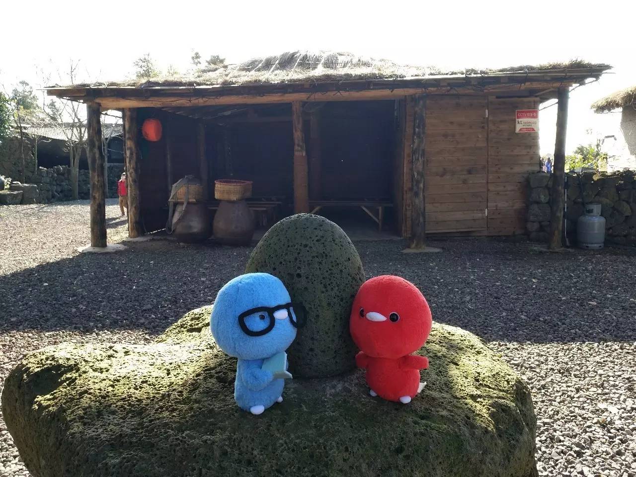 世界足球日要干啥,世界足球日