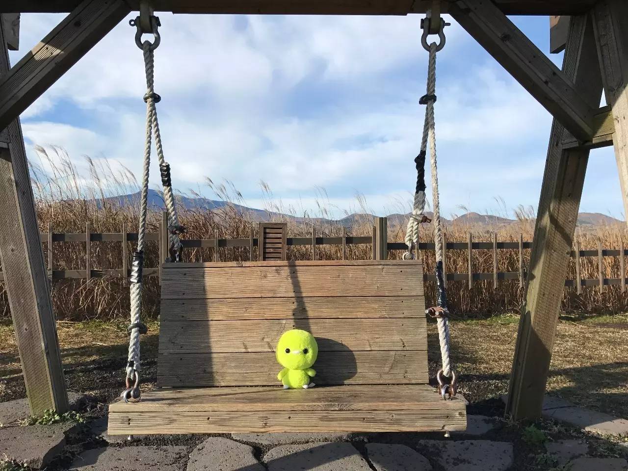 世界足球日要干啥,世界足球日