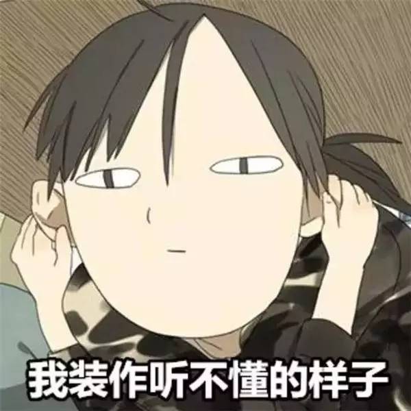 鲁豫换发型后照片,郭碧婷鲁豫同款短发