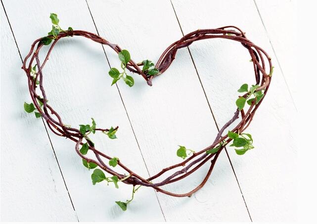 甲状腺囊肿和甲状腺结节的区别,甲状腺结节胶质囊肿怎么治疗呢