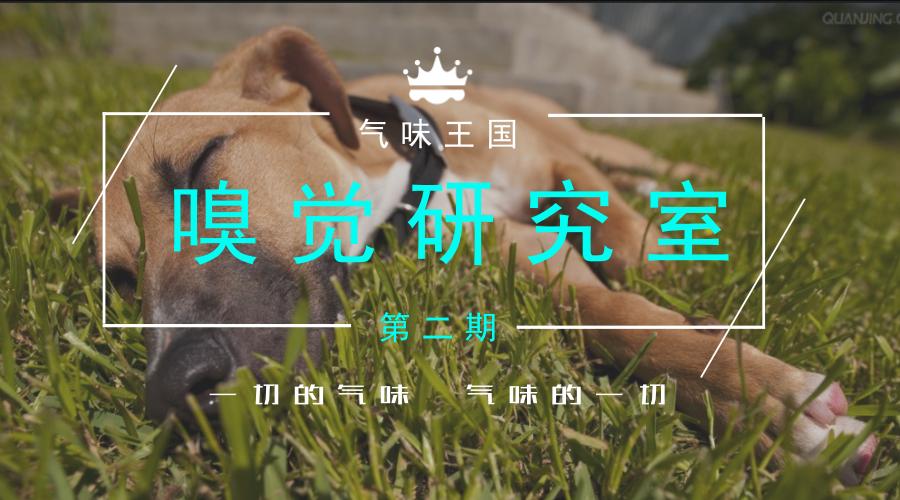 睡觉时闻到刺激性气味会醒吗,一般人睡着会放屁吗