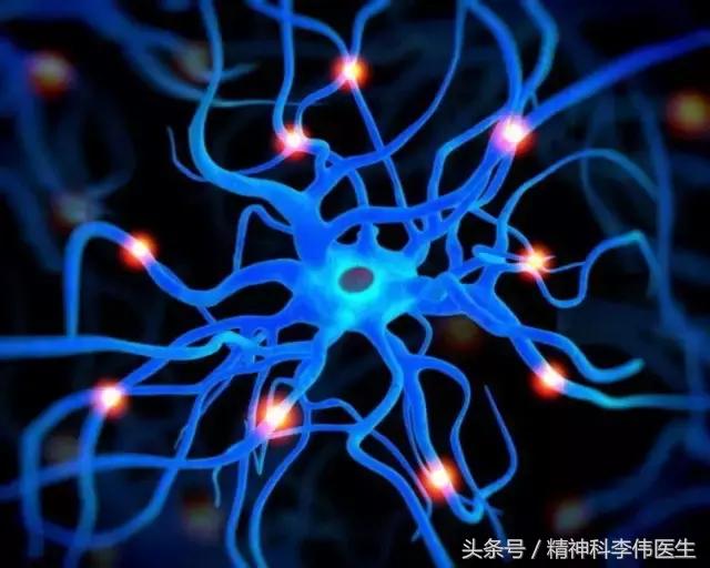 预防大脑衰老的食物,大脑30岁开始衰老真的吗