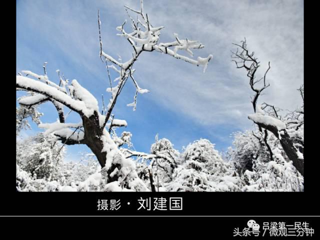 岚县野鸡山位于哪里,山西吕梁山雪景图片