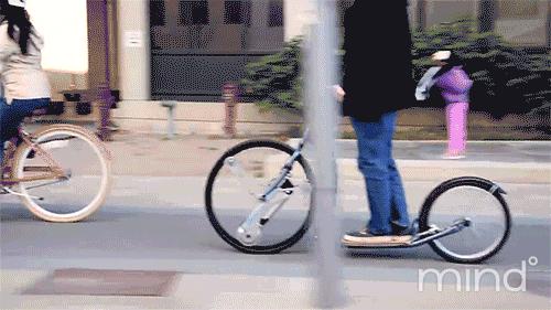 厉害了word哥,厉害了word哥视频