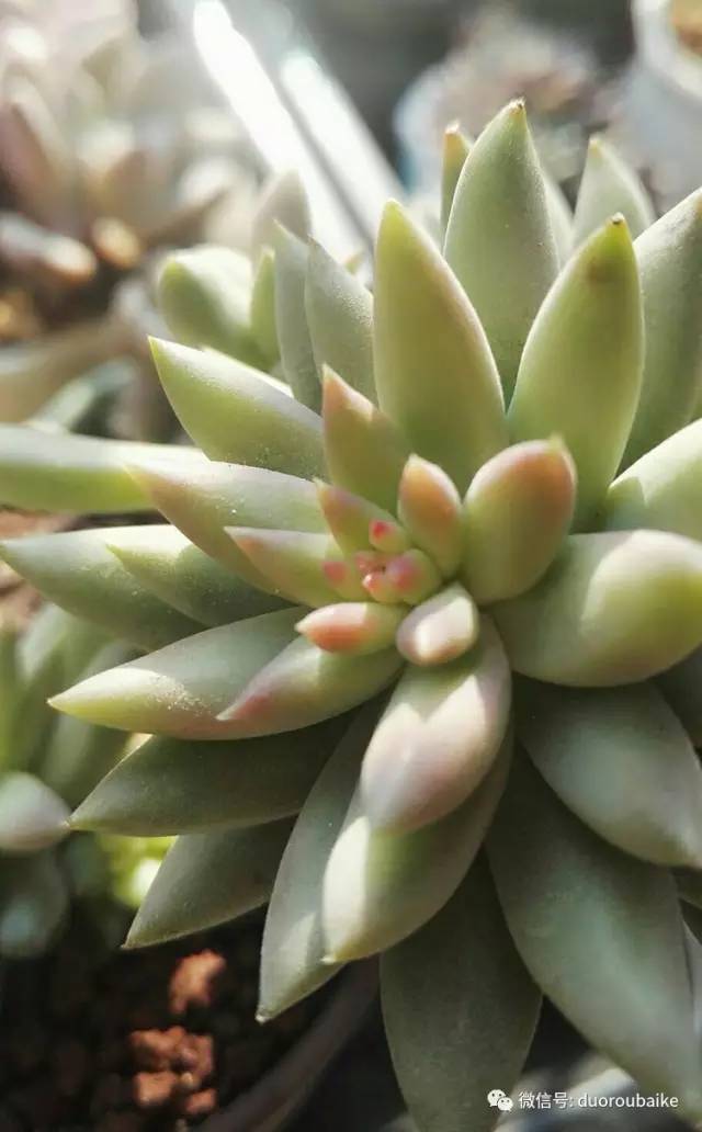 美好的时光带来快乐,美好的时光伴随着我