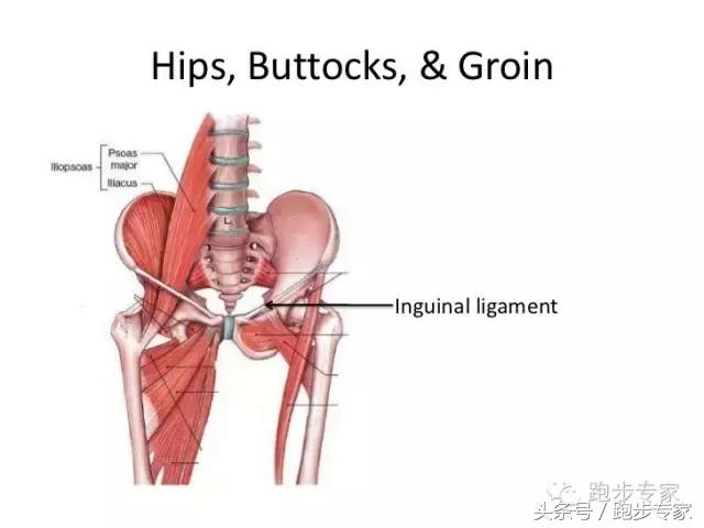 大腿根内侧韧带拉伤,大腿内侧那根筋疼咋办