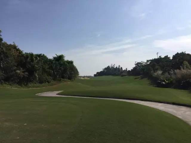 世界冠军专程助阵，为参赛球队提供总决赛球场最全攻略