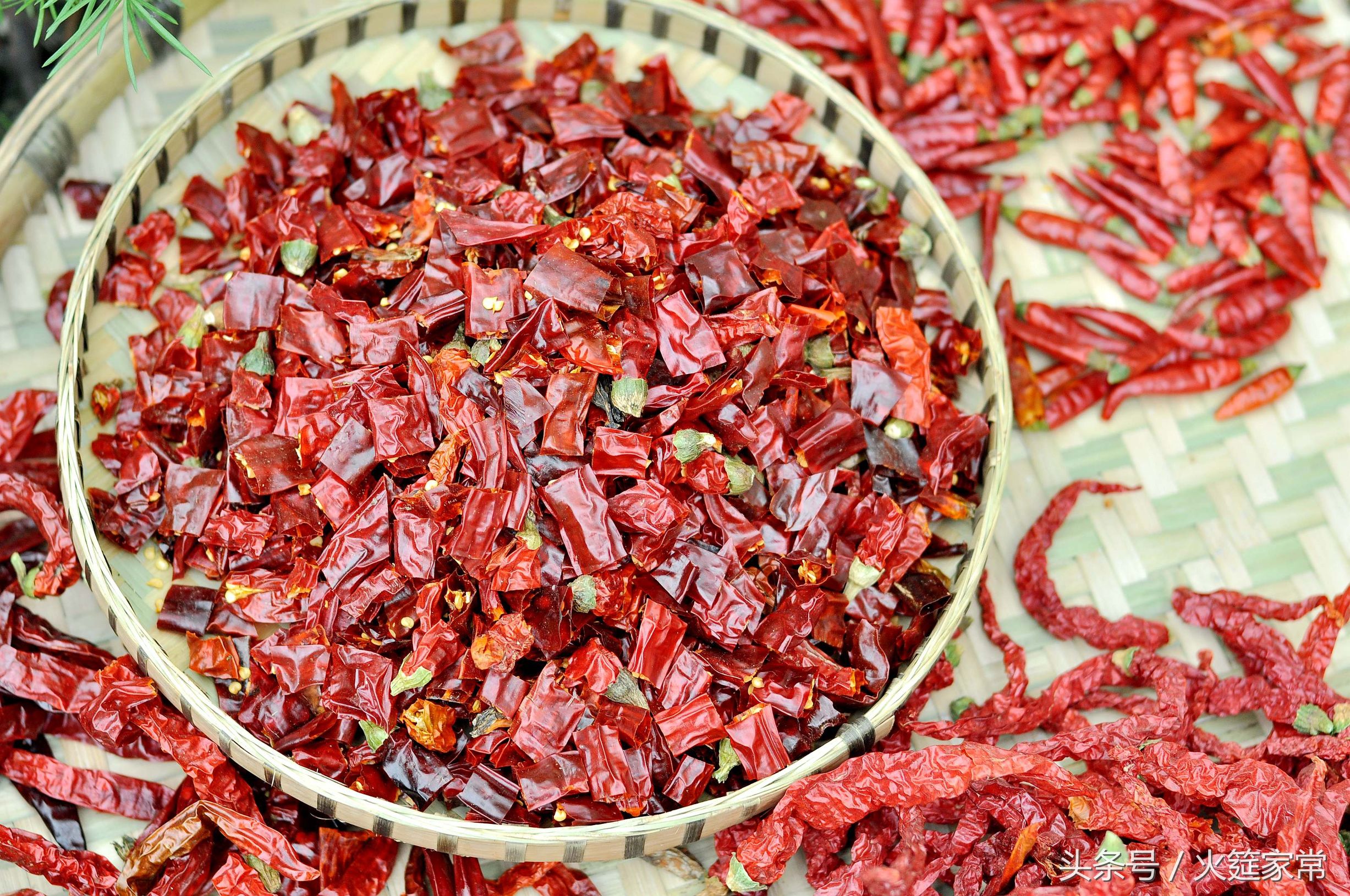 辣椒油灵魂是啥,川味凉拌菜辣椒油商用大桶装