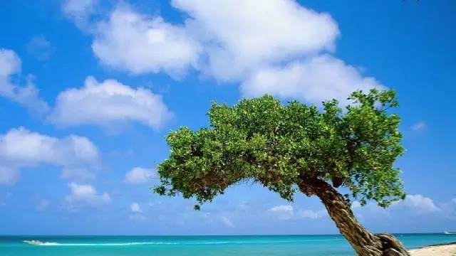 单个原发性小肝癌可以治愈吗,转移性小肝癌真的能彻底治愈吗