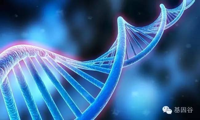 精准医疗新突破,精准医学进入基因大数据时代