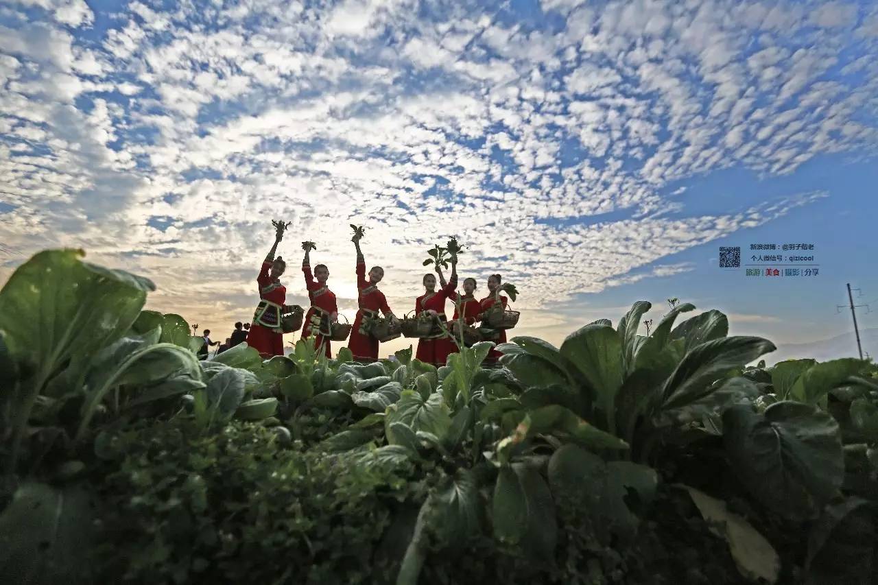 去连州有什么好玩的,清远连州旅游详细攻略