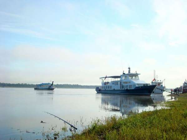 野钓鲫鱼打串钩自制竿架,老钓鱼人传授自制串钩和海竿架