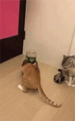 就算打不过你，我也依然是骄傲的小公举