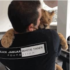 就算打不过你，我也依然是骄傲的小公举