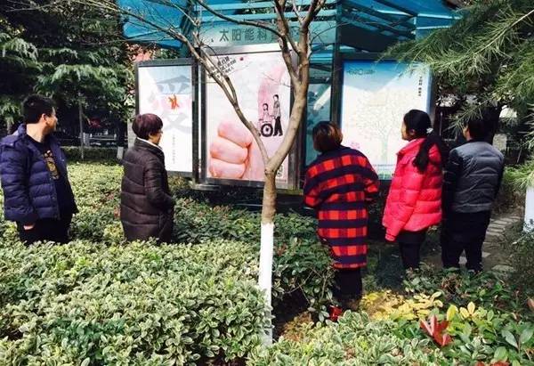 你参加过哪些社会活动和收获,你参与过的一次风俗活动作文