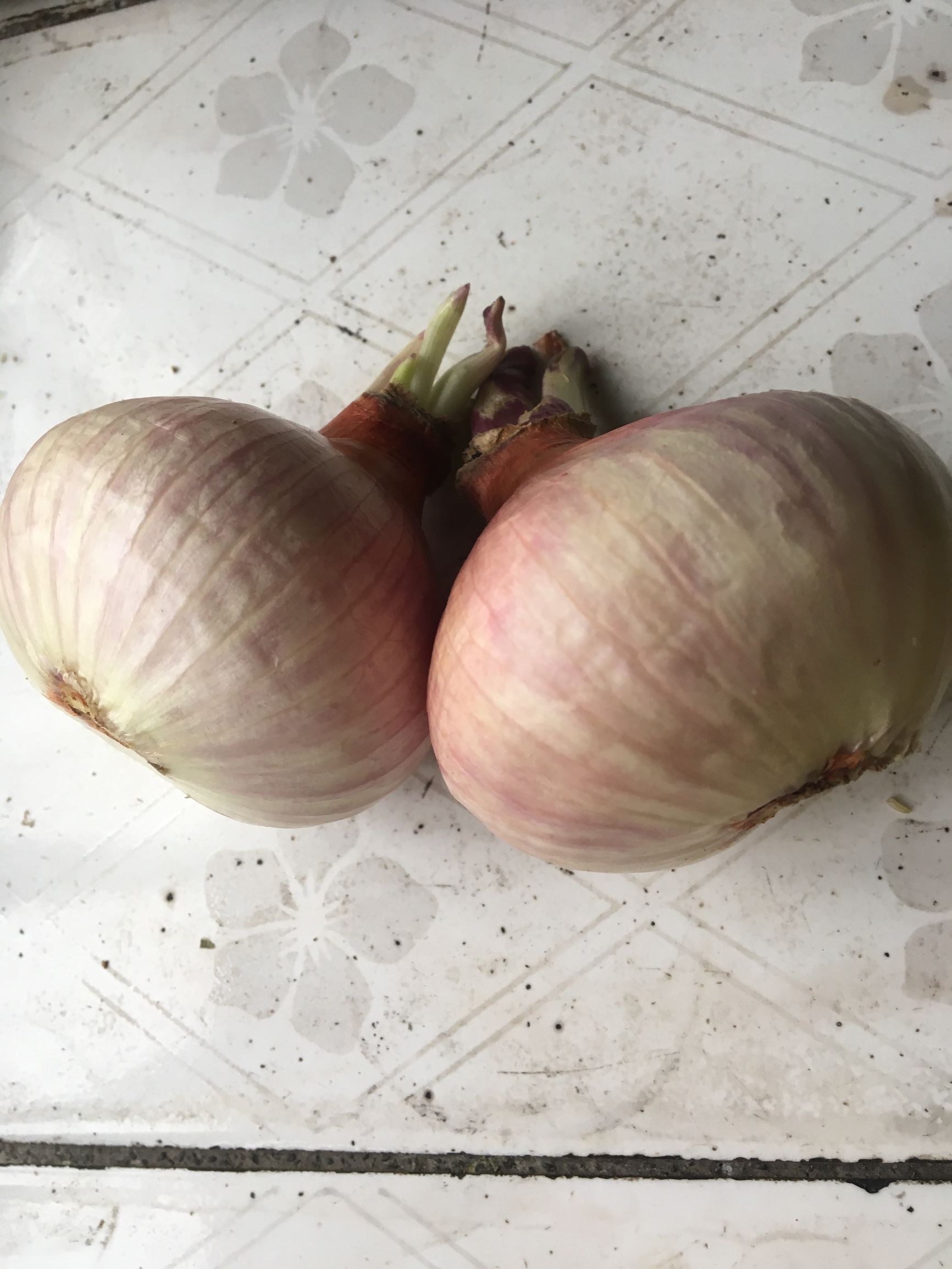 这个所有人都认识的东西，居然能减肥、治口腔溃疡！