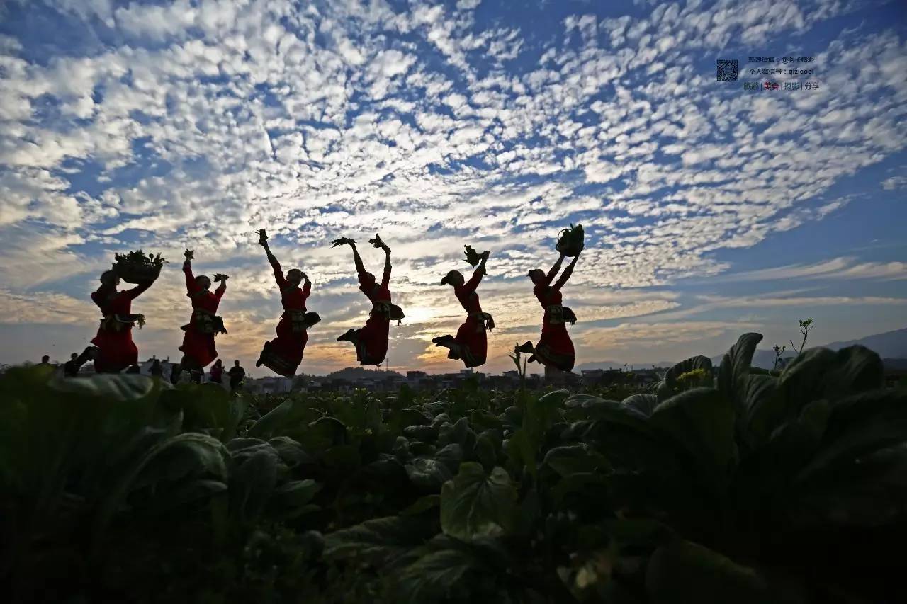 去连州有什么好玩的,清远连州旅游详细攻略