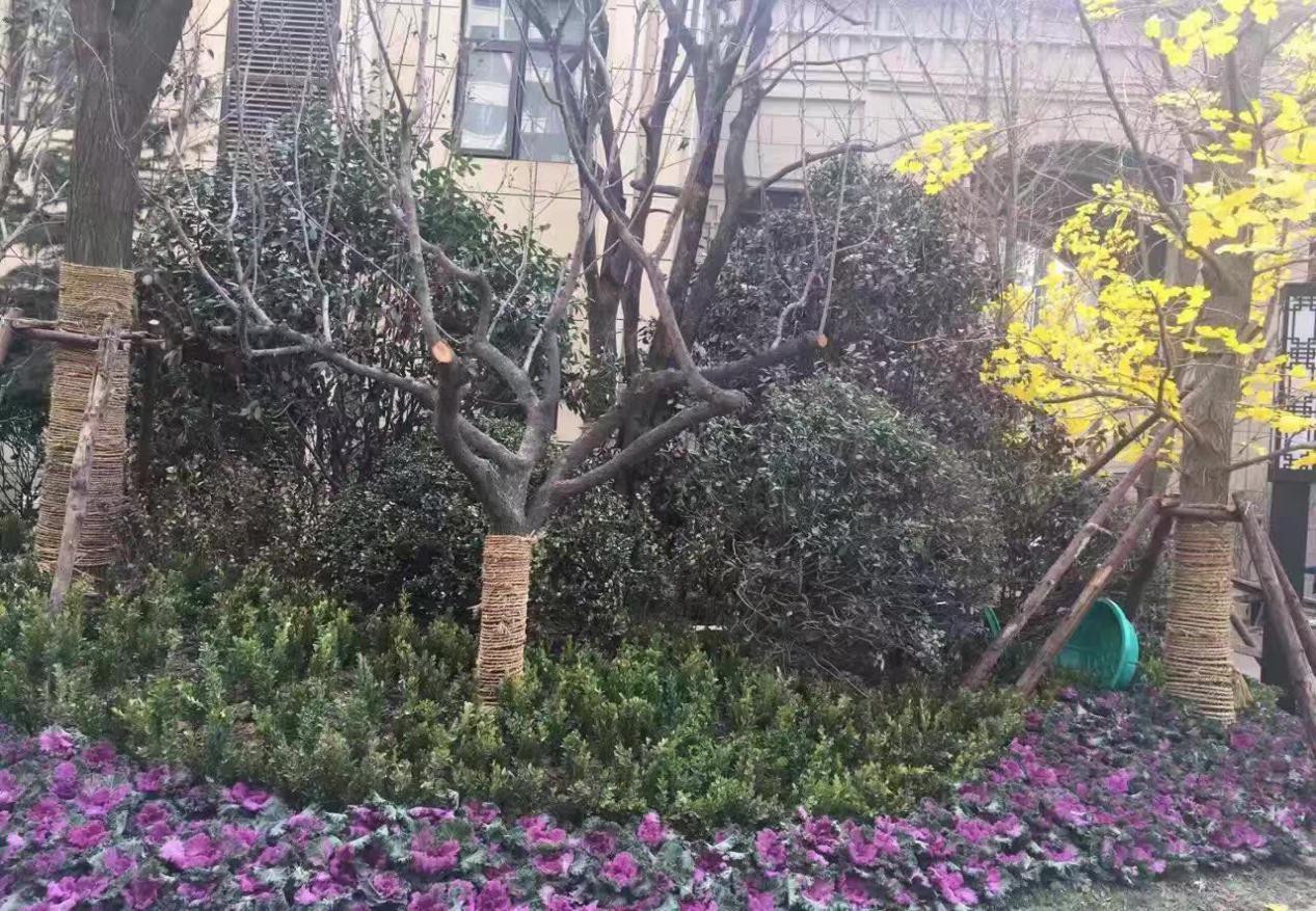 西安刚需房值得买的,西安刚需看房