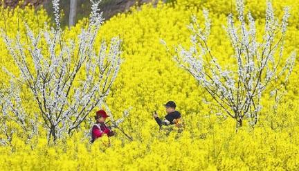 聚焦｜农村脱贫商机“路子”多，你的家乡脱贫了吗？