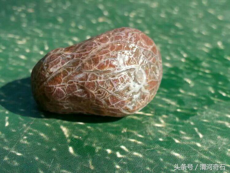 戈壁玛瑙温润如玉,心脏型戈壁玛瑙