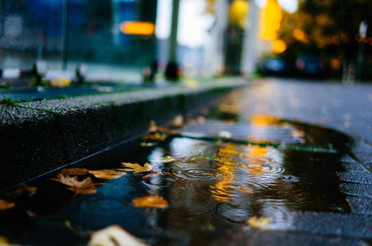 徕卡相机m系列使用介绍 (徕卡m相机全系列介绍)