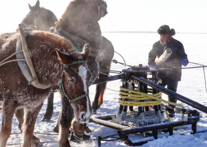 查干湖冬捕纪录片全集,查干湖冬捕地点在哪里