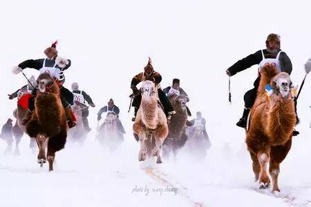 夏季那达慕大会呼伦贝尔,2022年呼伦贝尔冬季那达慕开幕