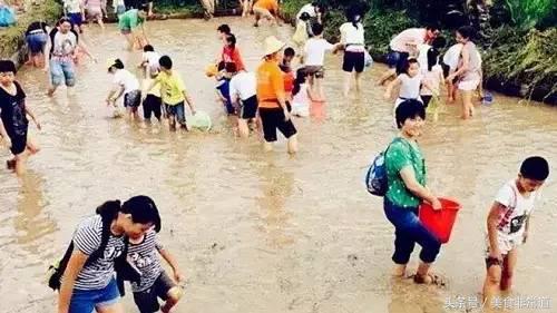 美食非常道最新一期,美食非常道现在叫什么