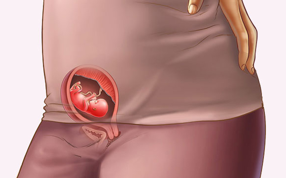 孕期你不知道的100件事,教你轻松搞定孕期的种种不适